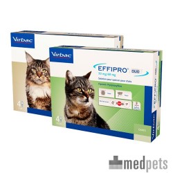 Effipro duo kitten 1-6 kg